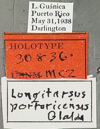 Media type: image;   Entomology 30836 Aspect: labels
